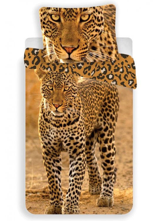 Leopard - Kliknutím na obrázok zatvorte -