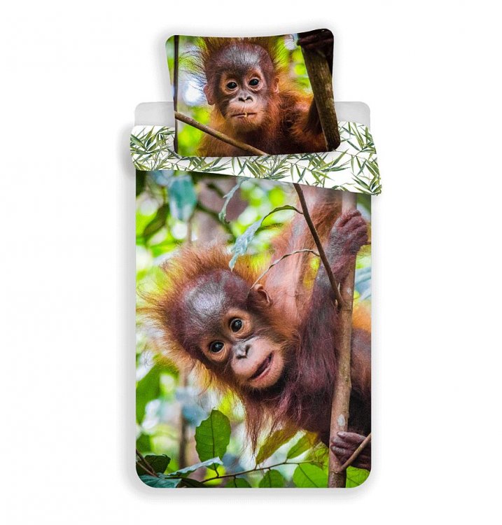 Orangutan - Kliknutím na obrázok zatvorte -