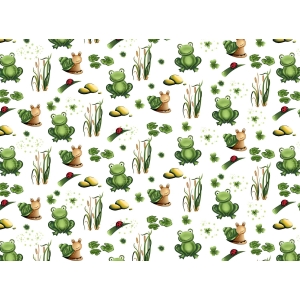 M213 Žabky bavlnená súprava obliečok 1+1